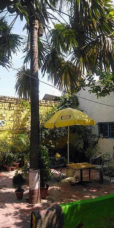 אגרה Zigzag Homestay מראה חיצוני תמונה