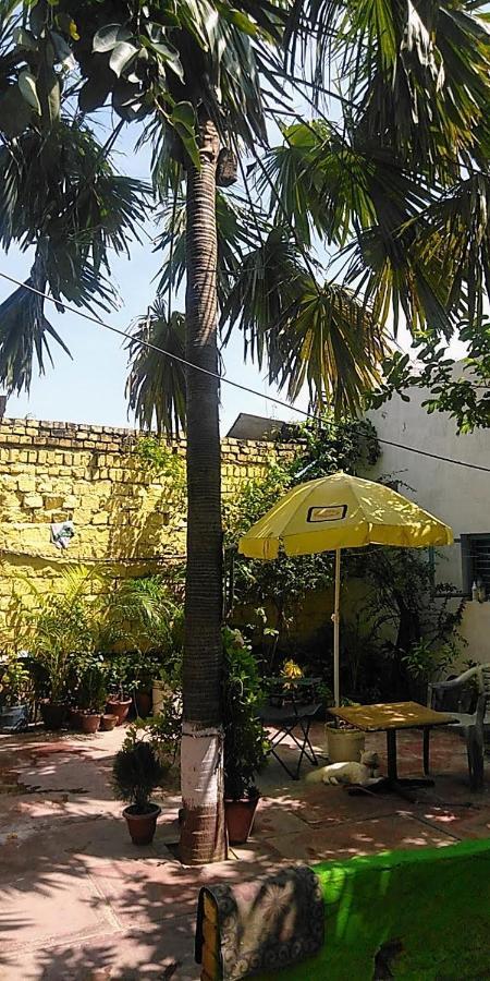 אגרה Zigzag Homestay מראה חיצוני תמונה